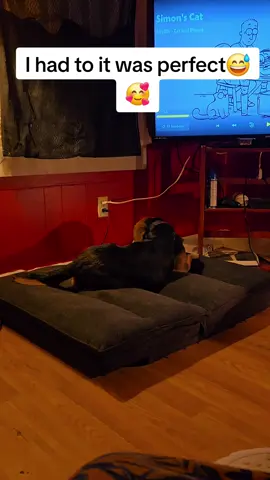 But why did copper turn around like a movie star. 🥰🥰😅 #dog #dogsoftiktok #lol #funny #fyp #fypage #talent 