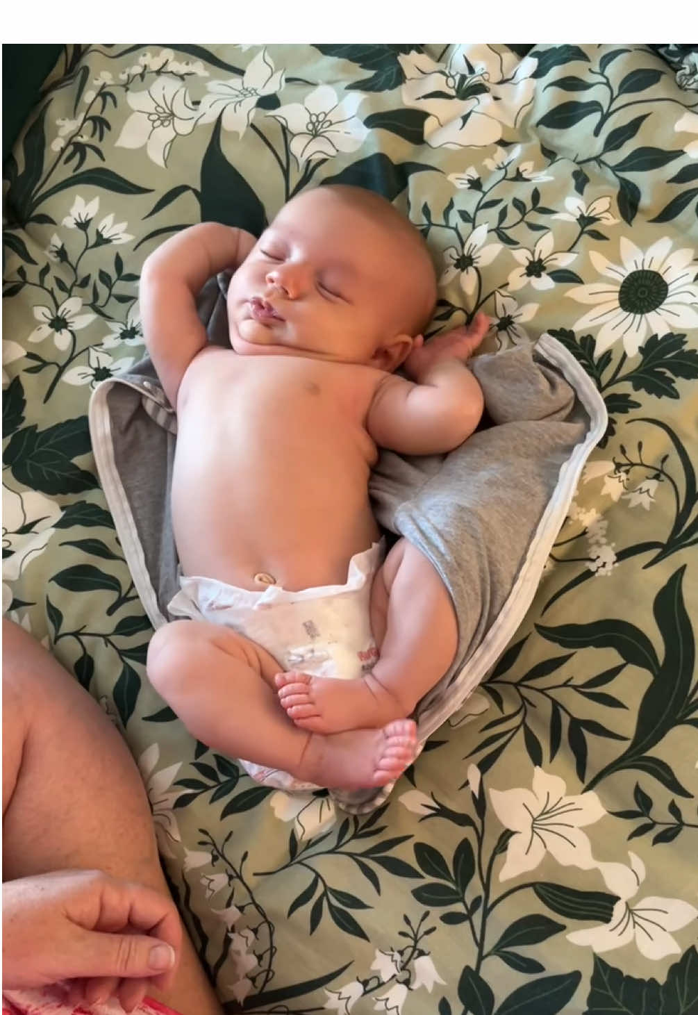 Morning Stretch 🥹🥹 #baby #newborn #newbornstretch #swaddle #lovetodreamswaddle #lovetodream
