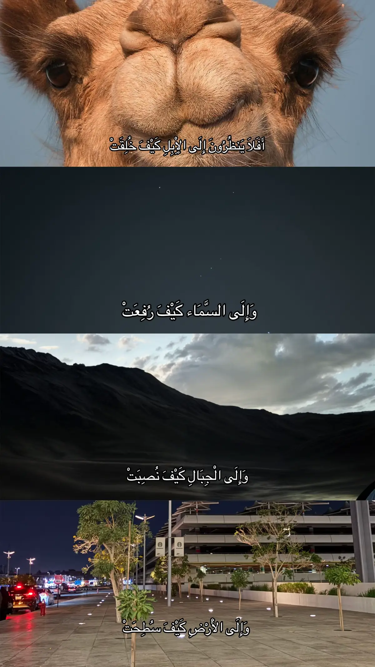 كل الصور من تصويري إلا صوره الأبل  #افلا_ينظرون_الى_الابل_كيف_خلقت #سبحان_الله #قران #ذكر  #بدون_موسيقى #تصوري #اللهم_صلي_على_نبينا_محمد #اذاكر #لاتحزن_إن_لله_معنا #تصوير 