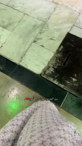 جنة اللقاء♥️. #بين_الحرمين #الامام_العباس_عليه_السلام #الامام_الحسين_عليه_السلام #كربلاء #شيعة #tiktok #الله_اكبر 