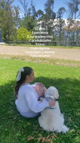 Que afortunada soy de tener un amor tan incondicional ❤️‍🩹  #dog #viral 