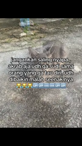 #katakatastorywa_ #katakata #katakatasindiran😏 #JUSTKONTENGUYS🤙🏻 #justkonten #gskaskip📵🚫 #gskaskip📵🚫 #gabolehngambilvtorang #mootswoyy😡 #foryoupage #fyppppp 