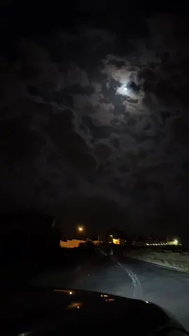 انت وحدك كل حاجه حلوه ❤️🎼 #تصويري #explore #foryou #اكسبلور #foryoupage #tiktok #trending #viral #ترند #تيك_توك #سناب #duet #السعودية #fyp #fypシ #اكسبلوررر #ابها #ابها_الان #شارع_الفن 