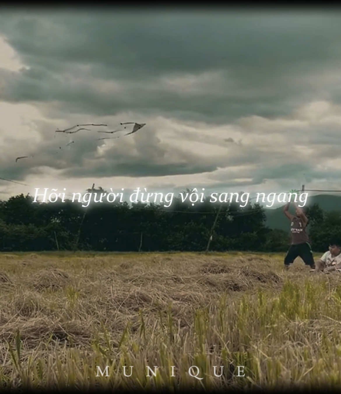 Ới a tìm về lời ru 🍂🍂 #antertainment #betamusic #xh #xhuong #munique262 #nhachaymoingay #timve #nhacsytienminh #chatoinguoiolai 