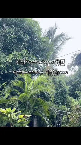 Crd #fycပေါ်ရောက်စမ်းကွာ #foryoupage #foryoupage #foryou #foryou #fy #foryoupage 
