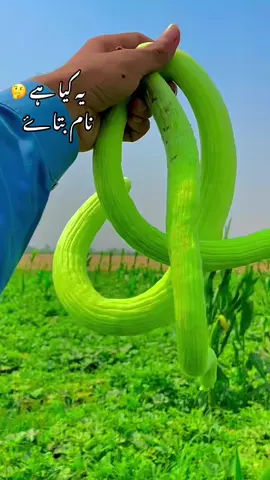 #میرا_سوہنا_پنڈ_برج_رن_سنگھ_ضلع_قصور #dontunderreviewmyvideo #mr_aliakbar1 #fyp #foryoupage #vedio #trendiing #foryou #vairal #unfreezemyacount 