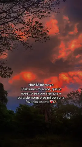 Feliz lunes mi amor te amo🫶🏻🥺💗#para#enamorados💞#para#dedicar💘#frases# Wilsonneyjr#paratii#tiktok#foryuoo