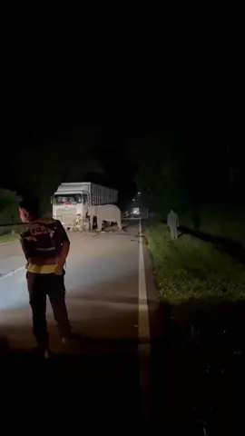 kasih sayang ibu untuk anak nya #sadstory #fyp #tiktokviral #trending #gajah #pencintakucing #mangu 