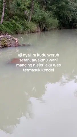canda teman teman🤣#microfishing #matkoplo0 #storymancing 