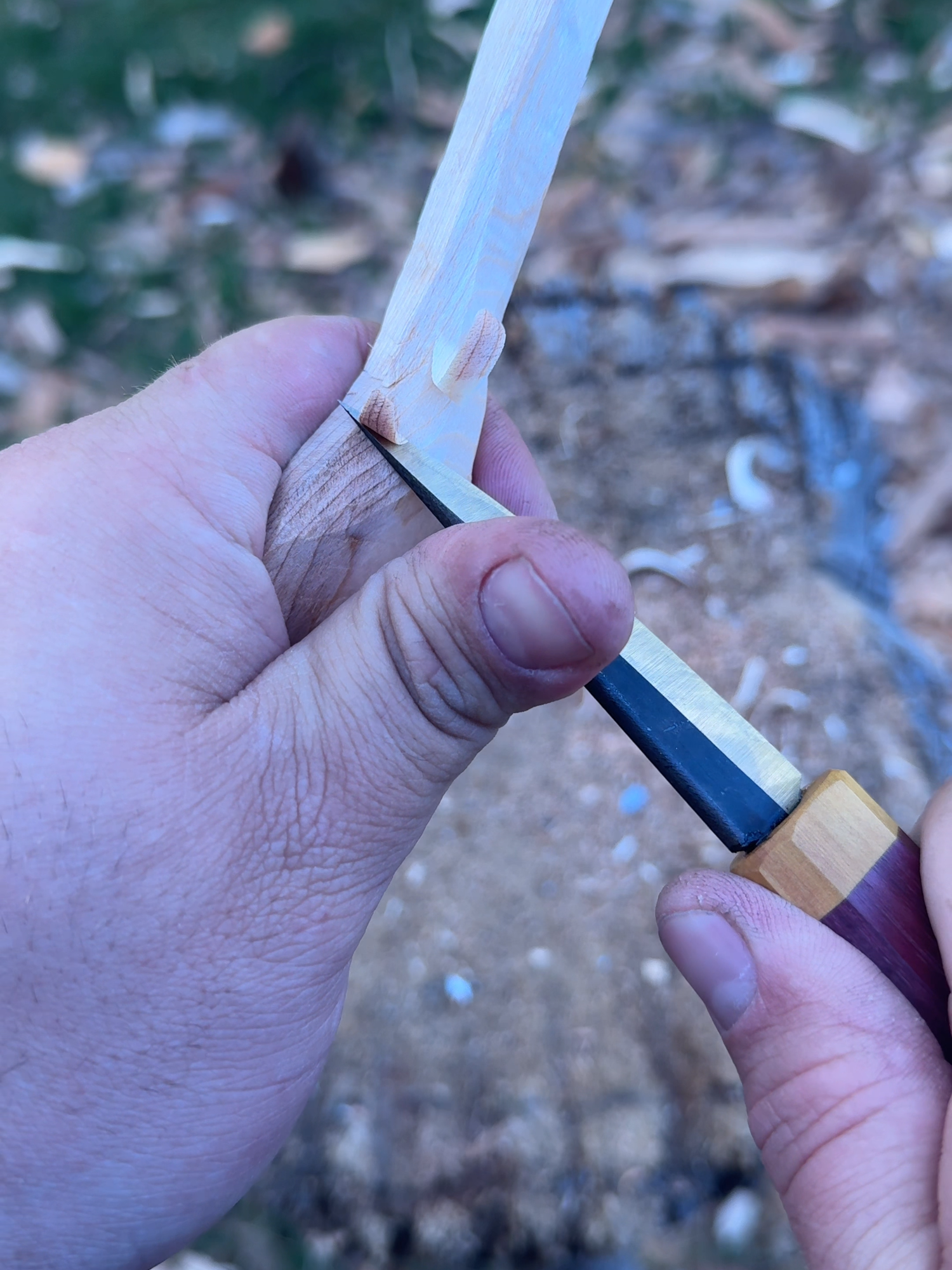 Which came first, the spoon or the spoon-carver? #spooncarving #woodworking #asmr #bushcraft