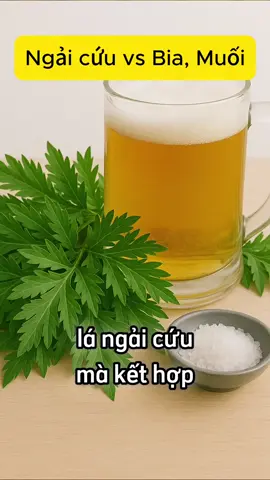 Thoát vị, thần kinh tọa? Đắp thế này là đỡ ngay! #baithuocdangian #daulungthoaihoa #meosuckhoe #suckhoenguoigia  #thaoduoc #xuhuong #vitagreennutrition