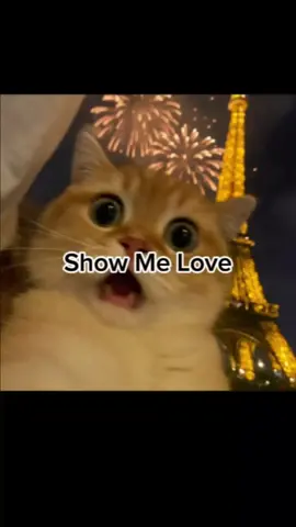 Show Me Love (with Tyla) #fyp #spotify #music #lyrics #lyrics #live 