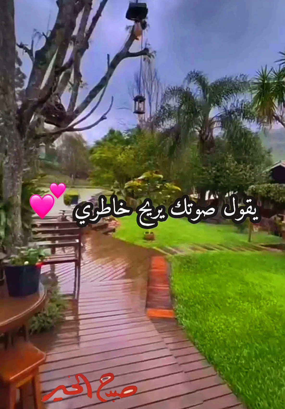 ما اجمل صوتك .. #شعر #الحب #CapCut 