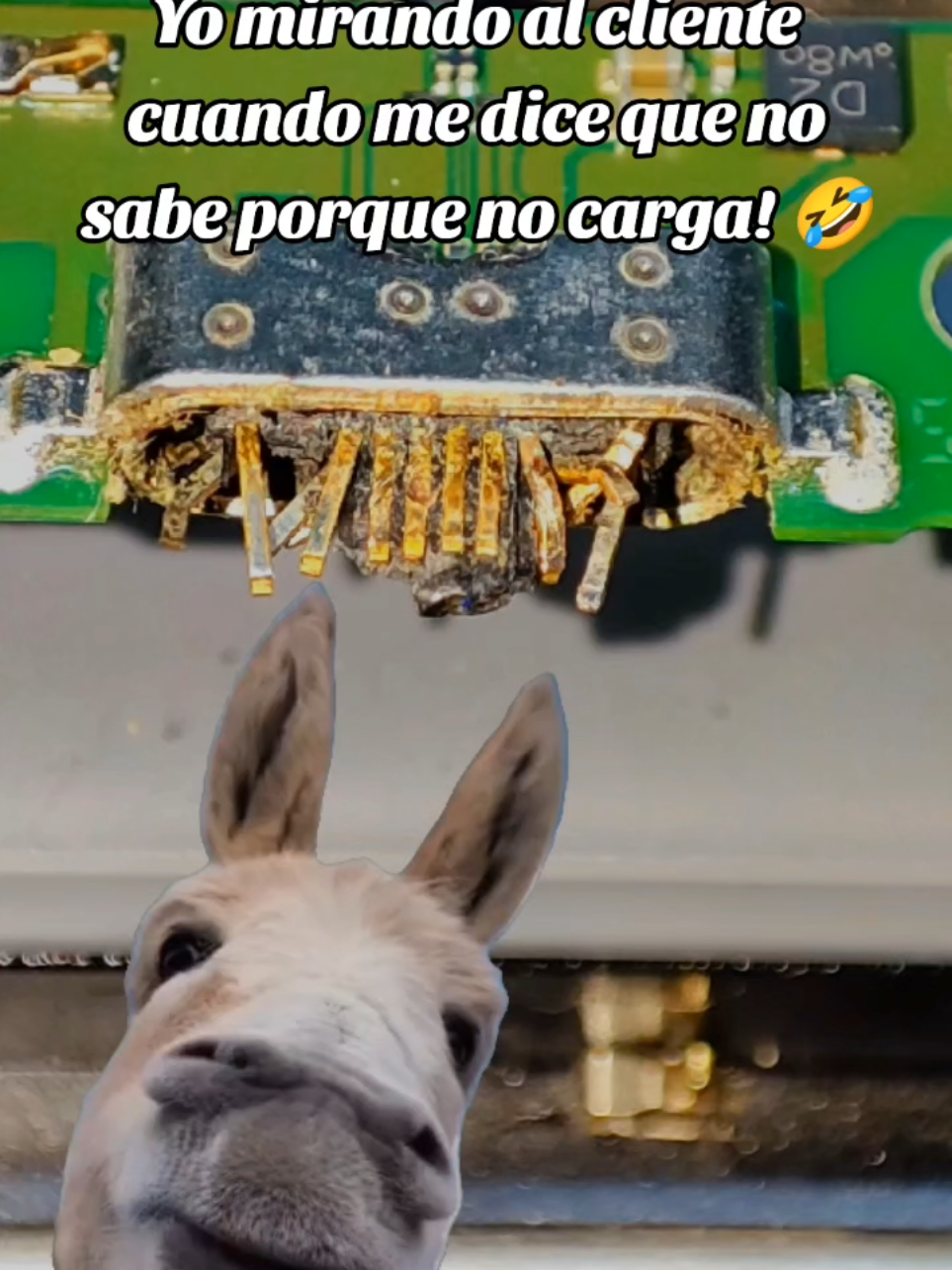 #parati #paratiiiiiiiiiiiiiiiiiiiiiiiiiiiiiii #serviciotecnicodecelulares #tecnicodecelular #reparaciondecelulares #pindecarga #celulares #videoviral #soldadura #chiste 