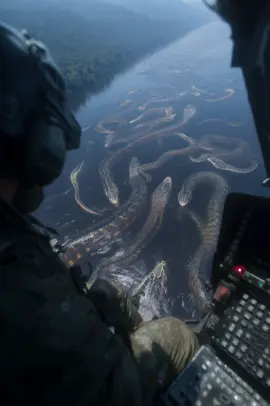 🚁🐍 OMG!! UNBELIEVABLE DISCOVERY IN THE AMAZON RAINFOREST!! 🌳😱 This shocking footage was captured from a military helicopter 🚁 as it flew over the deepest, untouched parts of the Amazon jungle in South America! 🌎 What they discovered is something straight out of a prehistoric nightmare—GIGANTIC, legendary snakes known as TITANOBOA 🐍🔥! These colossal creatures are believed to be extinct for over 60 million years! 😳 Can you imagine flying peacefully and suddenly spotting dozens of these enormous serpents slithering through the river?! 🌊😵‍💫 Some experts say they might have been hidden in remote swamps for millions of years, away from human eyes. 👀🦕 Could this be proof that Titanoboa still exists today?! ⚠️ WARNING: DO NOT ATTEMPT TO FIND THESE CREATURES! They are EXTREMELY dangerous and powerful enough to crush a car or swallow a human WHOLE! 🚗👤💀 📌 COMMENT BELOW what YOU think! Are these snakes real or is it just the biggest hoax of 2025? 🤔 👇 LIKE & SHARE THIS VIDEO TO SPREAD THE WORD AND FOLLOW FOR MORE CRAZY DISCOVERIES!! 🌎✨🔥 #AmazonDiscovery #Titanoboa #Prehistoric #SnakeAttack #CrazyNature #MonsterSnake #JungleMystery #Unexplained #CreatureFeature #ScaryNature #HelicopterFootage #AmazonRainforest #AmazonJungle #Wildlife #ViralTikTok #FYP #ForYouPage #ShockingVideo #NatureIsWild #TrendingNow #BreakingNews #CreatureEncounter #RealOrFake 