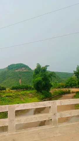 #রাজশাহী #যদি #জিহাদী_সাইবার_কাফেলা  ,#