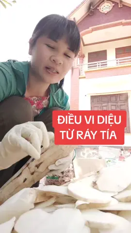cu ráy tía phơi khô sao vàng hạ thổ đun nước uống sẽ giảm được mơ mau mơ gan và xương khớp và gút  #ray  #bot chuối xanh  #NguyenMai 