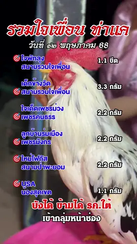 รวมใจเพื่อน (ท่าแค) 12-05🐓💯 #โจพัทลุง #สนามรวมใจเพื่อน #เด็กข้างวัด #ใจเด็ดเพชรท่าม่วง #เพชรคนธรร #ลูกบ้านร่มเมือง #เพชรมังกร #USA #น้องสุดเขต #ใหม่โฟกัส #สนามป่าพะยอม #ไก่เดือย #ไก่เดือยใต้ #ไก่เดือยภาคใต้ #ราชาไก่เดือยใต้ 