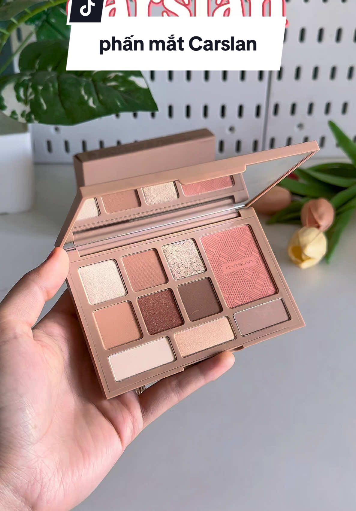 Bảng mắt tone cam nâu nhà Carslan siu xinh - cân mọi layout makeup#hongugc #xuhuongtiktok #carslan 