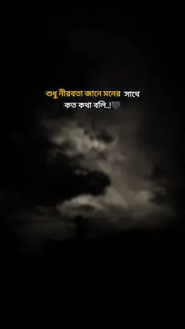 শুধু নীরবতা জানে মনের সাথে কত কথা বলি..!🖤#foryou #bairal @TikTok @TikTok Bangladesh @TikTok Malaysia 