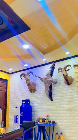 #pakarmy #armylover #gujranwala🦁❣️🦁punjaab🦁❣️🦁 #islamabad #fairdeals #hunting 
