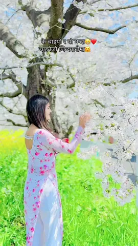 #निरन्जना❤️ #ठकुरी #日本埼玉🇯🇵 