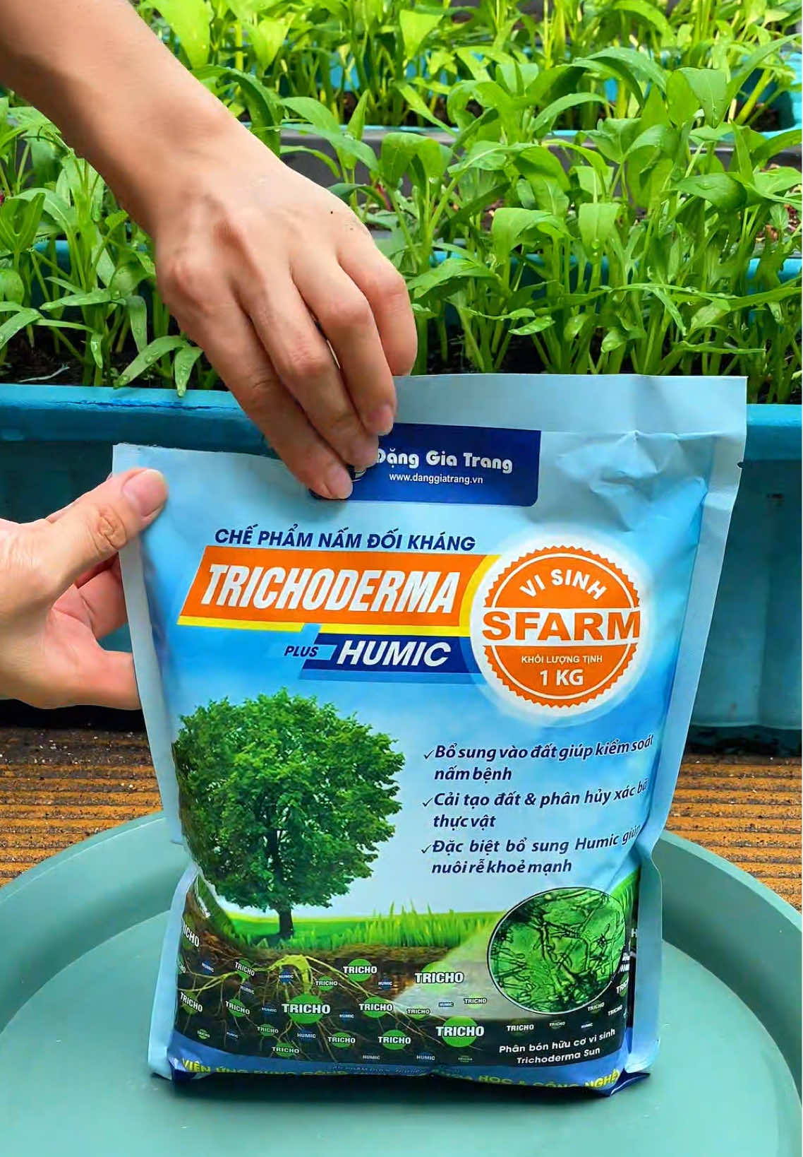 Trichoderma Sfarm 2 trong 1  Vừa phòng nấm bệnh cho cây trồng mùa mưa Vừa kích rễ nhờ thành phần humic Tiện lợi và tiết kiệm #nongnghieppho #nongnghiep #trongrau #lamvuon #trongrausanthuong #kichre 