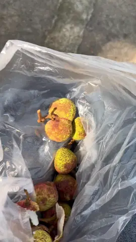 被骗了 牙都要酸掉了 #夹子音 #荔枝 #天天上一当当当不一样