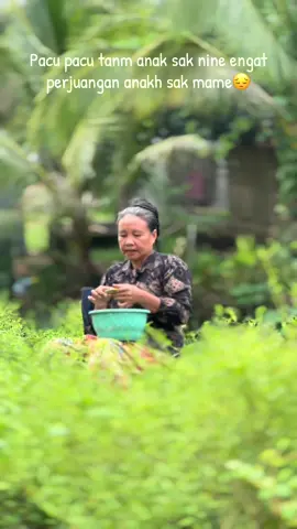 #doaibuselamanya #lomboktiktok #fyp 