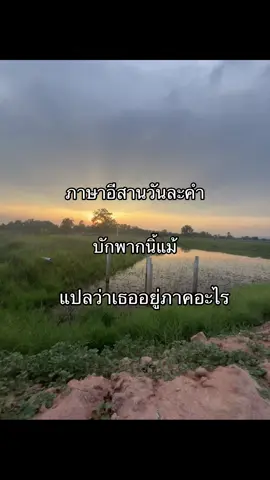 #วิวบ้านนอก🍃 #fyp #เธรด #อย่าปิดการมองเห็น 