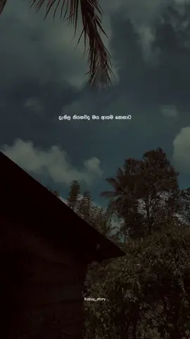 🥺❤️‍🩹