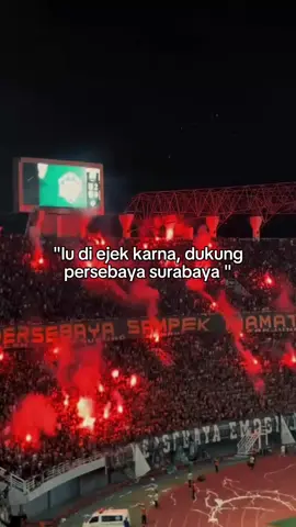 darah ini hijau jendrall🐊🫵💚 #yoikiria❤️‍🔥 #persebayasampekkiamat #forevergreen #bonekmojokertoselatan🐊 
