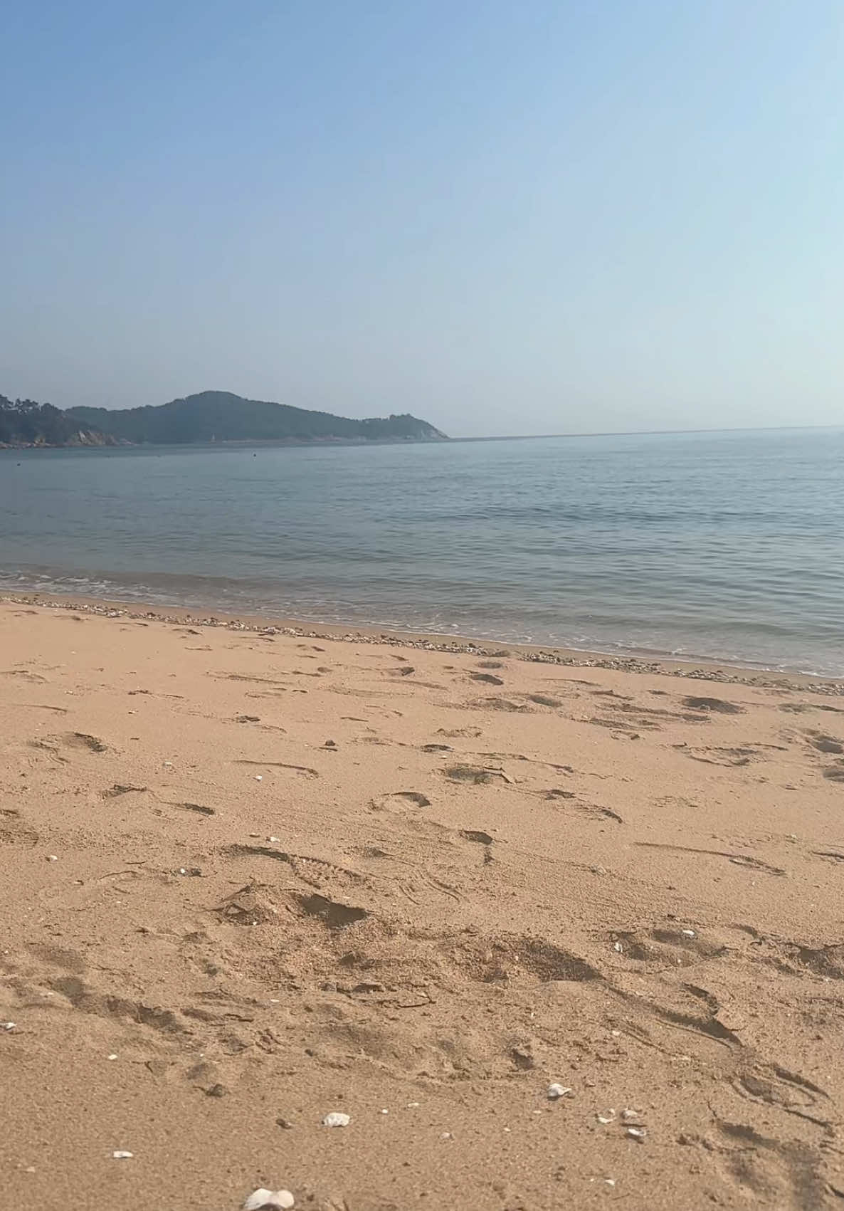 Я русалка ем ракушки 🐚 