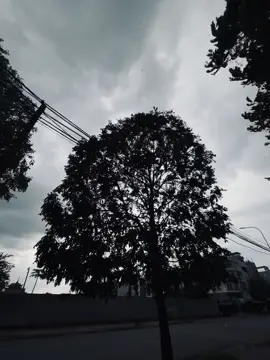 🌧️
