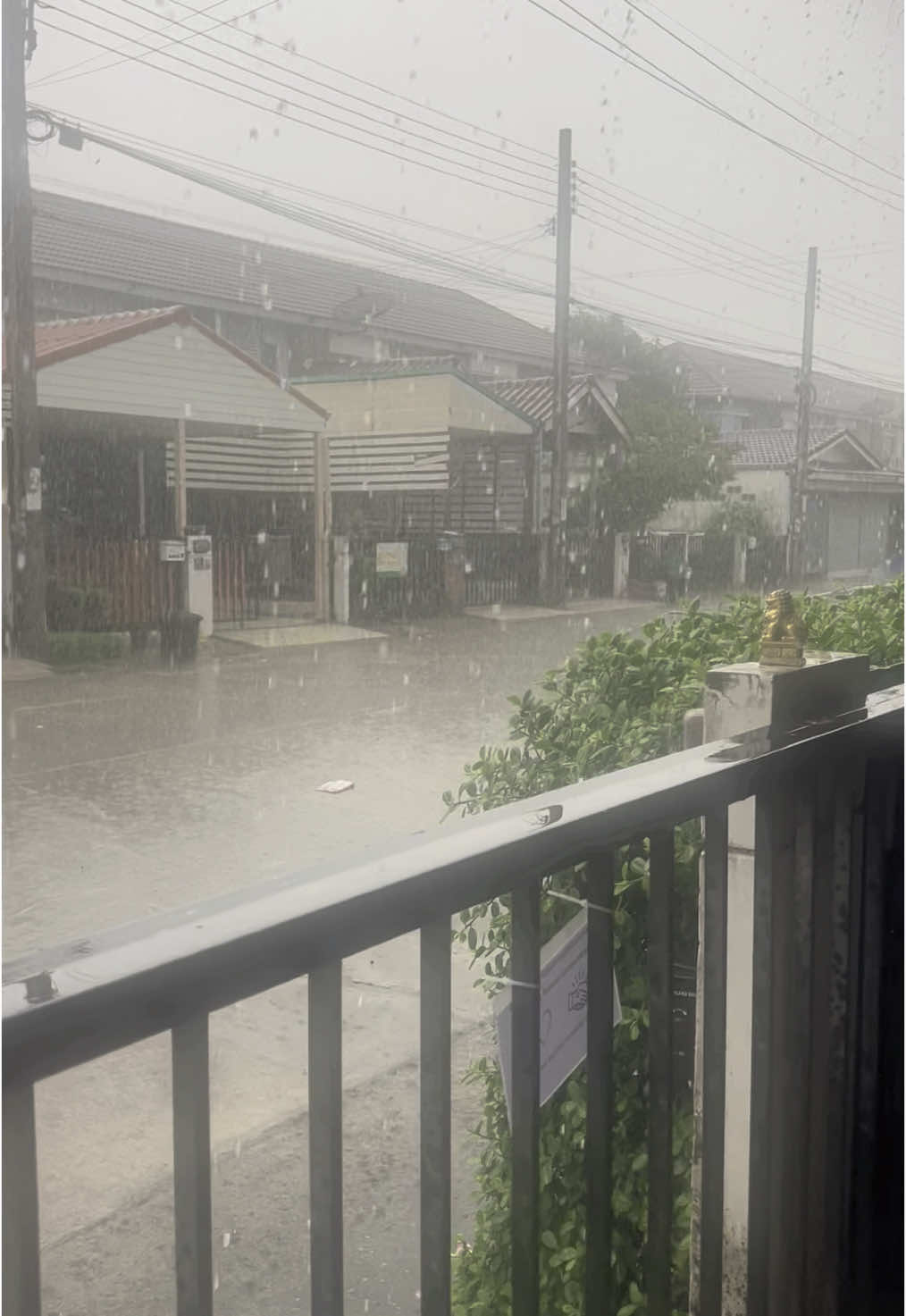 วันนี้ฝนตกไหลลงที่หน้าบ้าน⛈️🌧️🎤🎸#ฝนตกที่หน้าต่าง #ลาดกระบัง#เปียกยันไข่😅💦⛈ 