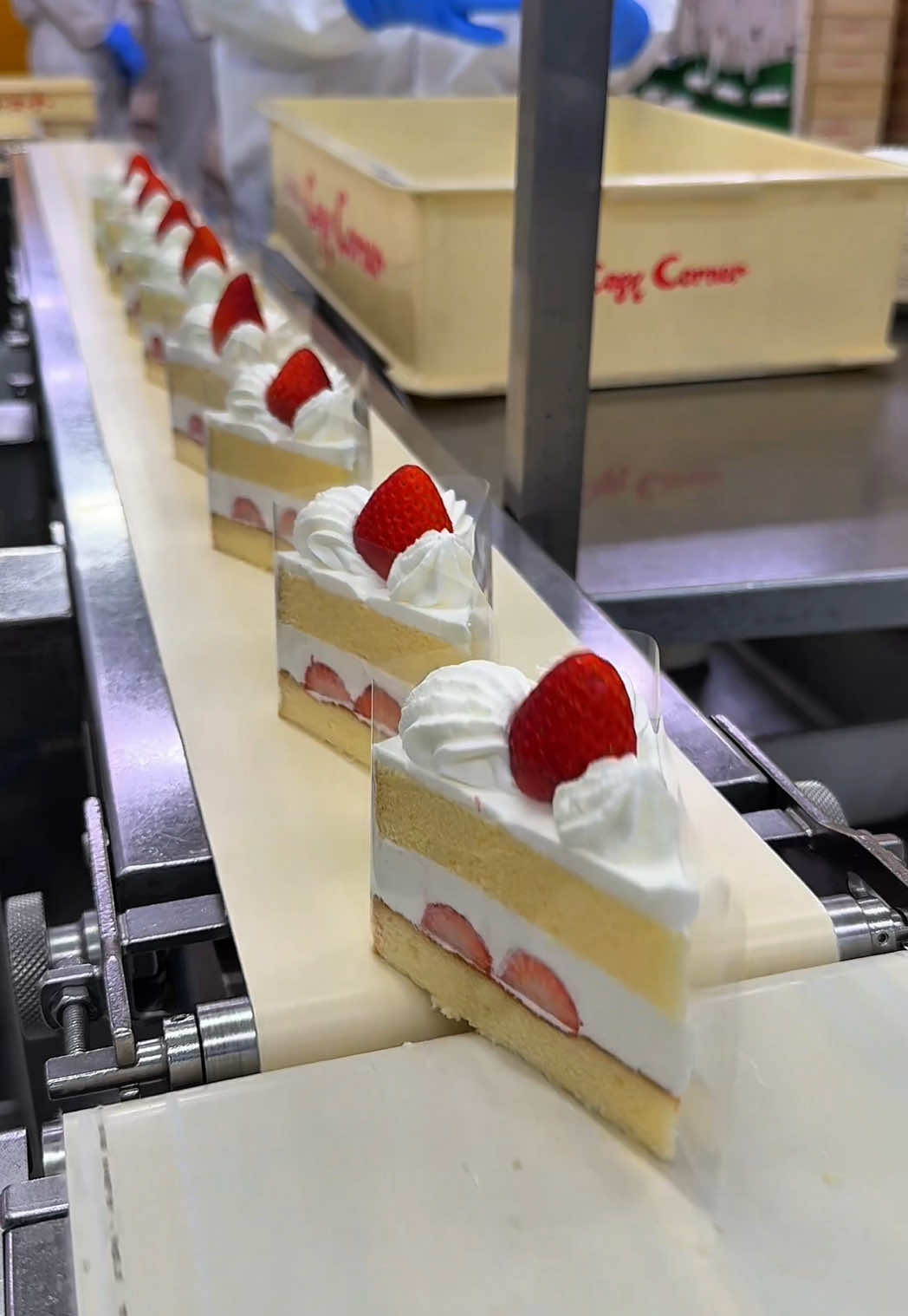 みんな大好き！コージーコーナーのショートケーキ作りに密着🍰 【コージーコーナー  】 苺のショートケーキ　572円(税込) 今回は銀座コージーコーナーの工場に密着！ みんな大好きな苺のショートケーキを食べてきたよ！ コージーコーナーの風味豊かなクリームとふわふわのスポンジが最高なんだよね！ オリジナル小麦を使ってて、きめ細かなスポンジがクリームとの相性抜群！ 何個でもすいすい食べれそうで、気がついたら一個完食！ クセになる味わいがたまらん！ 全て機械化されてるのかと思ったけど、ところどころ職人さんの手作業で作っていて、コージーコーナーのこだわりに触れて大興奮！ ごちそうさまでした🐺 ⁡ 💺テイクアウト 📍全国展開 ⁡ #japanesefood #cake #shortcake 