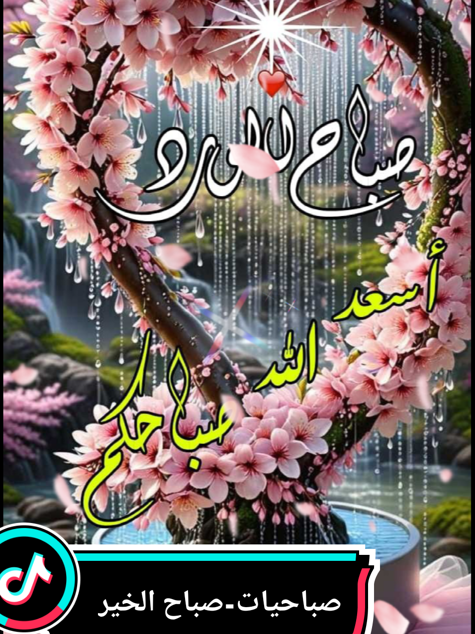 صباحيات-جميلة#صباح_الخير #صباحكم_أحلى_صباح #كلام_من_القلب #foryoupage #explorepage✨ #تيك_توك_عرب #fyp #بلجيكا🇧🇪_بروكسيل_المانيا_فرنسا_هولندا #السعودية_الكويت_مصر_العراق_لبنان #المغرب🇲🇦تونس🇹🇳الجزائر🇩🇿 