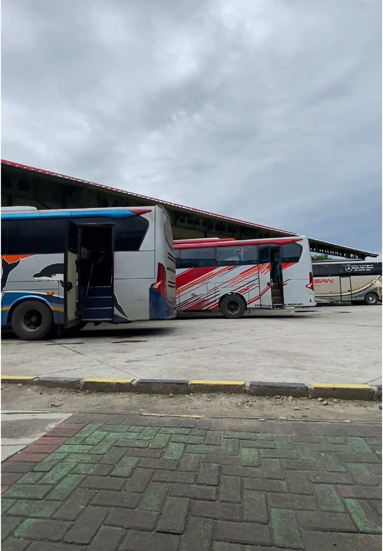 bahan story kembali lagii 🙌  #fyp #sumbergroup #sklovers #sugengrahayu #sumberselamat 