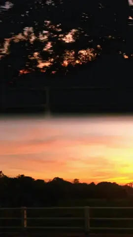 Beauty of the Dry Zone 🖤😌#srilanka #viralvideo #nature #eveningvibes #traveltiktok 