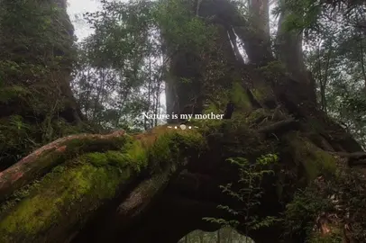 #earth #foryoupagе #spirituality #earthyaesthetic #hippietok #witchtok #paganism #earthtone #naturelove #fypage #fyp #femaleenergy #bekind #thisisasafeplace #222 #bekindtoyourself #mothernature #CapCut 