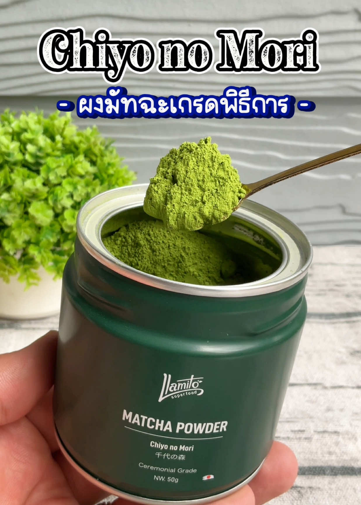 Chiyo no mori ผงมัทฉะเกรดพิธีการ ชงดื่มง่าย ดีต่อสุขภาพ #ผงมัทฉะ #ผงมัทฉะแท้ #ผงมัทฉะเกรดพิธีการ #chiyonomori #matcha #รักสุขภาพ 