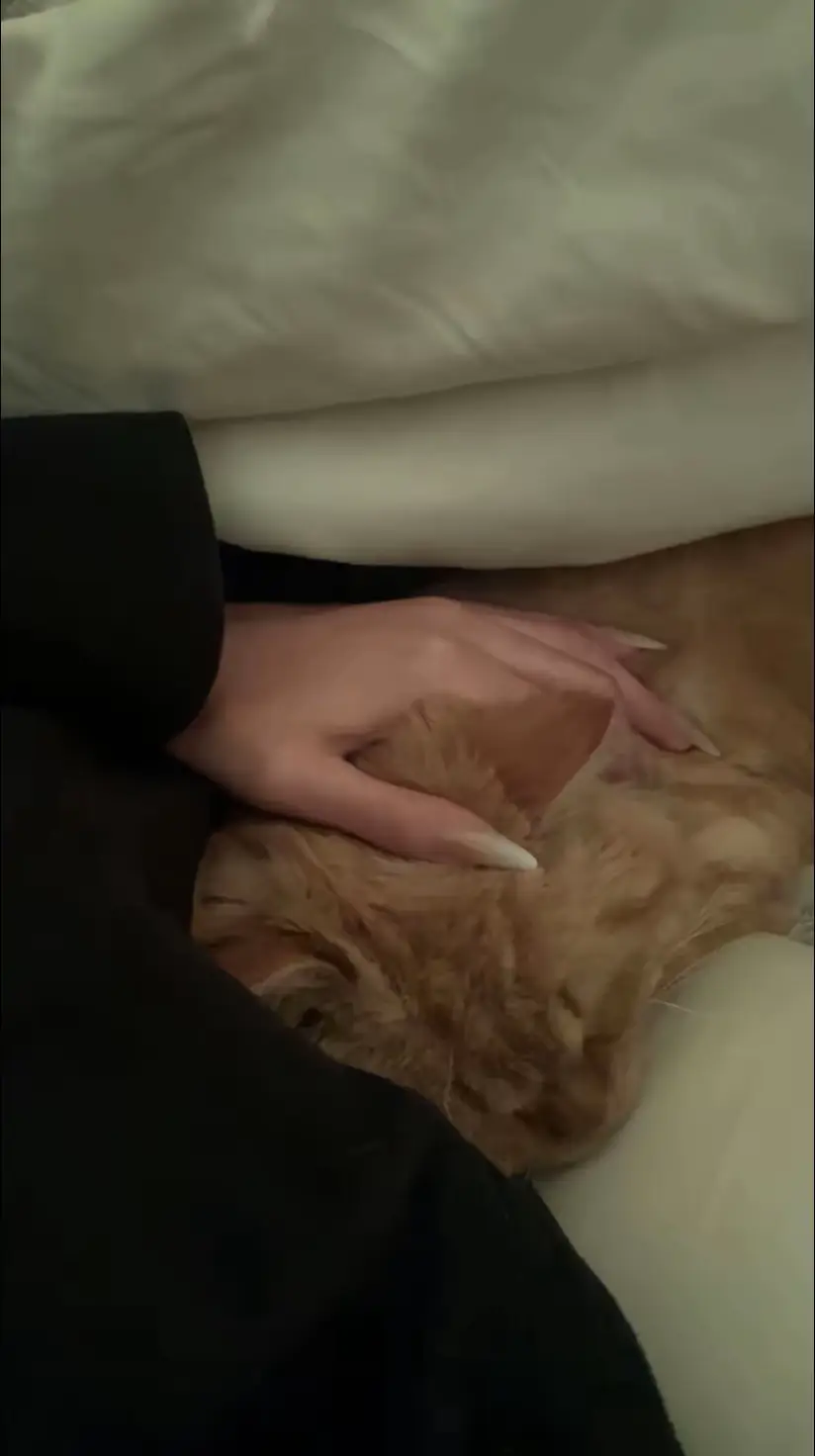 اشتقت كثير😿                                            #viral 