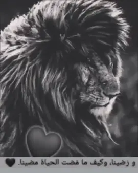 #doshcka_19 #تصميم_فيديوهات🎶🎤🎬 #تصميمي #ตามจังหวะ #عبارات🖤 #🖤🥷 #اسد #🖤🥀 