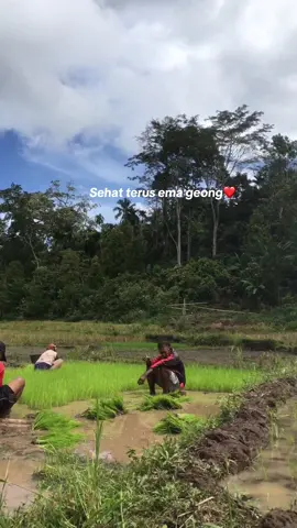 #fypviralシviraltiktok  #mangaraitimur_🌴_florens_ntt🌴  #nttpride🏝🔥  Sehat terus ema geong❤️❤️