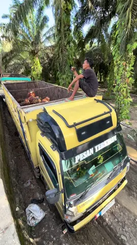 #sawitjambi #team_arma #jambipride #truksawit #driversawit #sawit #fypシ゚ 