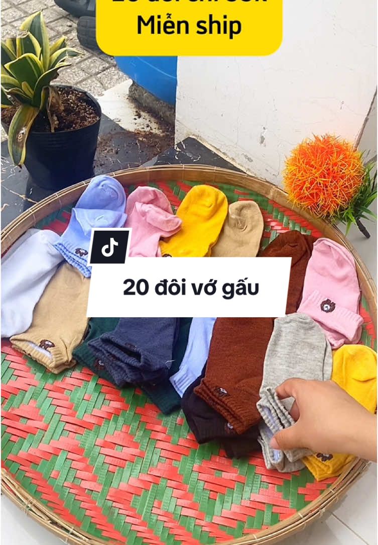 20 đôi vớ gấu chỉ 55k , mang giày hay ủ ấm chân cũng OK nha #vogau #tất #vớ  #vo 