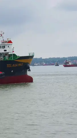 TELAGA MAS - TEMAS LINE #temas #tanto #spil #perak #perak #tanjungperak #pelabuhan #lautjawa #selatmadura #suramadu #suramadu #surabayatiktok #pelaut #pelautindonesia #cmacgm #wanhai  #meratus #icon #pil #evergreen #wanhai #pelindo