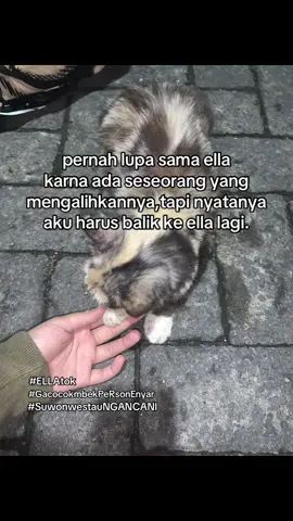 #ellajkt48 #gabrielaabigail #jkt48 #fyp #foryoupage #bismillahfyp 