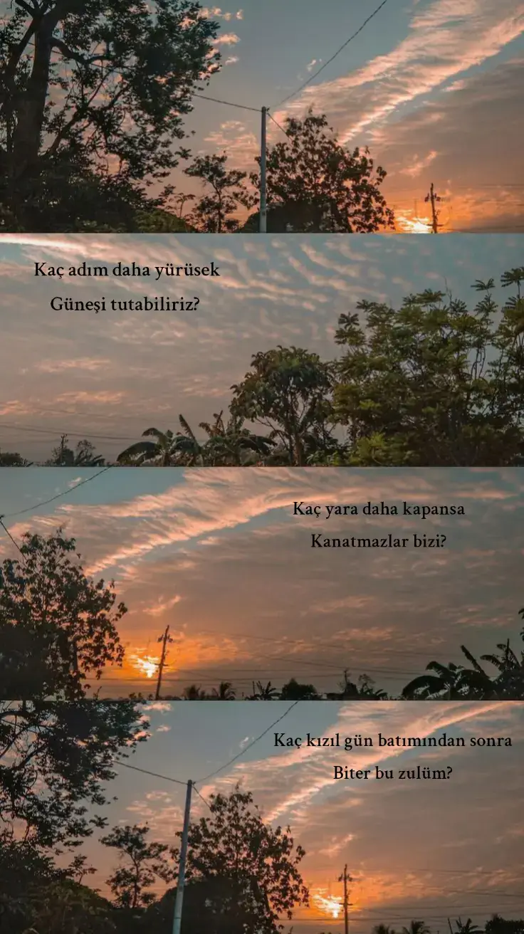 #axeman #ikidilbiraşk #azadpenaber #storylikvideolar📌 #storylik #keşfet #kürtçeşarkılar #günbatımı #manzara #keşfetteyizzz #keşfetbeniöneçıkar #fypシ゚ 