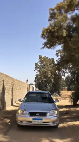 #مسيهم_بالخير_عربان_تيكتوك😅🙋‍♂️ #تصويري📸#المعروف_لايعرف #احلى_متابعين♥️ #📮_fypシ゚viral #جبراتت📮١6 #جبراتت📮 